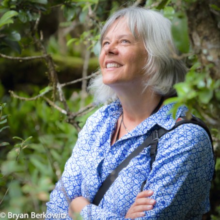 Kim_Steutermann_Rogers_Author_Photo